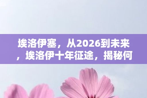 埃洛伊塞，从2026到未来，埃洛伊十年征途，揭秘何物让玩家集体震撼？