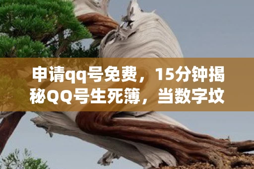申请qq号免费，15分钟揭秘QQ号生死簿，当数字坟场亮起最后一盏灯，泪目了