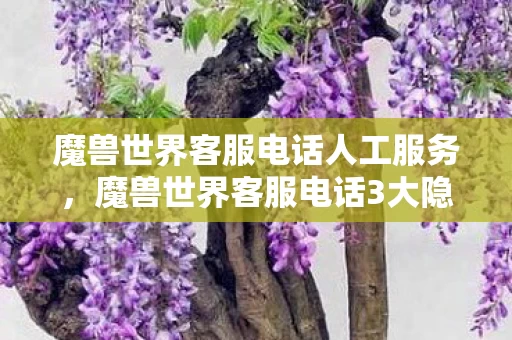 魔兽世界客服电话人工服务,魔兽世界客服电话3大隐藏套路!老玩家血泪心得+避坑指南 魔兽世界客服电话人工服务,魔兽世界客服电话3大隐藏套路!老玩家血泪心得+避坑指南