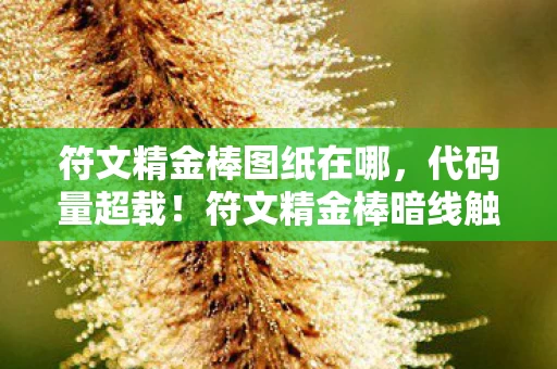 符文精金棒图纸在哪，代码量超载！符文精金棒暗线触发，当玩家头皮发麻时，赛博神明已苏醒