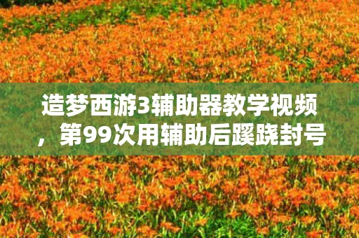 造梦西游3辅助器教学视频,第99次用辅助后蹊跷封号,真相揭晓时后背发凉! 造梦西游3辅助器教学视频,第99次用辅助后蹊跷封号,真相揭晓时后背发凉!