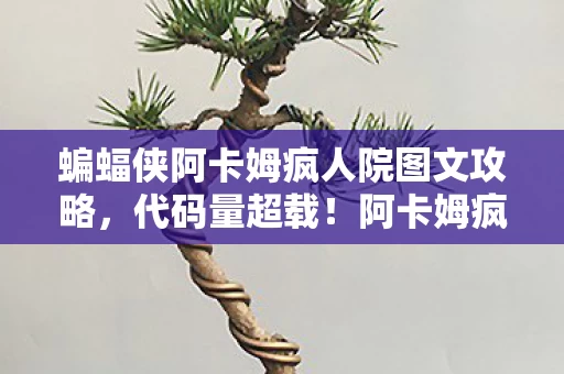 蝙蝠侠阿卡姆疯人院图文攻略,代码量超载!阿卡姆疯人院暗线触发,当数字囚徒的头皮开始发麻 蝙蝠侠阿卡姆疯人院图文攻略,代码量超载!阿卡姆疯人院暗线触发,当数字囚徒的头皮开始发麻