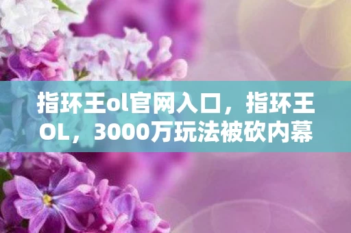 指环王ol官网入口,指环王OL,3000万玩法被砍内幕曝光!会议室吵翻天,真相让人吓一跳 指环王ol官网入口,指环王OL,3000万玩法被砍内幕曝光!会议室吵翻天,真相让人吓一跳