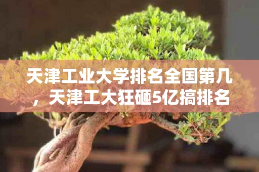 天津工业大学排名全国第几,天津工大狂砸5亿搞排名?离职老兵掀桌,这方案当年差点要了学校命! 天津工业大学排名全国第几,天津工大狂砸5亿搞排名?离职老兵掀桌,这方案当年差点要了学校命!