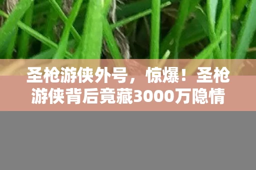 圣枪游侠外号,惊爆!圣枪游侠背后竟藏3000万隐情,真相让人吓一跳! 圣枪游侠外号,惊爆!圣枪游侠背后竟藏3000万隐情,真相让人吓一跳!