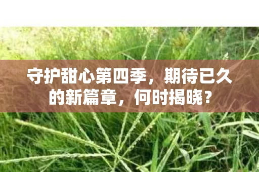 期待已久的新篇章图片