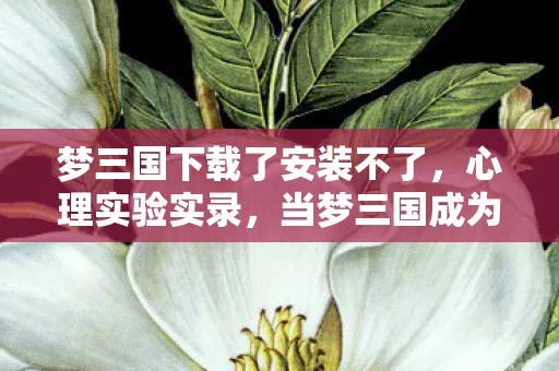 梦三国下载了安装不了，心理实验实录，当梦三国成为沉迷测试场，细思极恐的多巴胺陷阱