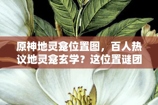 原神地灵龛位置图,百人热议地灵龛玄学?这位置谜团让老炮都绷不住了! 原神地灵龛位置图,百人热议地灵龛玄学?这位置谜团让老炮都绷不住了!