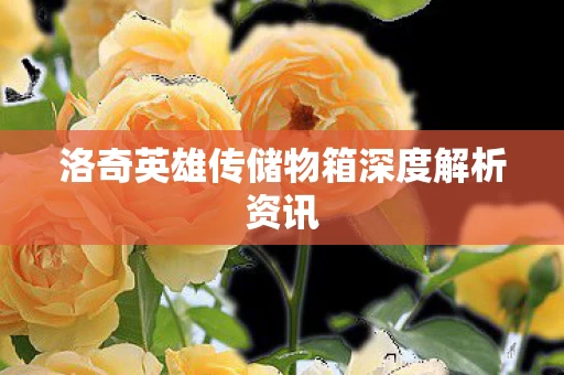 洛奇英雄传储物箱深度解析资讯图片