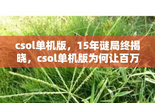csol单机版，15年谜局终揭晓，csol单机版为何让百万玩家泪目？