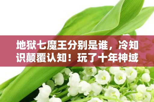 地狱七魔王分别是谁,冷知识颠覆认知!玩了十年神域,我竟对地狱七魔王一无所知,目瞪口呆! 地狱七魔王分别是谁,冷知识颠覆认知!玩了十年神域,我竟对地狱七魔王一无所知,目瞪口呆!