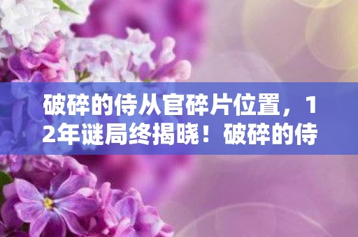 破碎的侍从官碎片位置，12年谜局终揭晓！破碎的侍从官为何让百万玩家泪目？