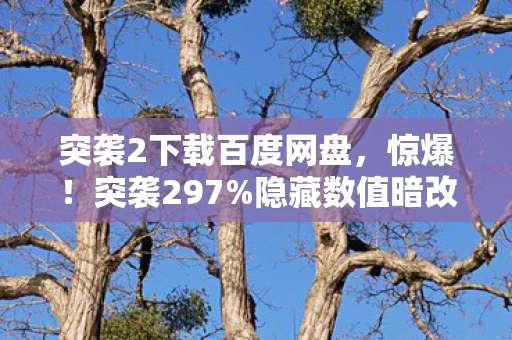 突袭2下载百度网盘，惊爆！突袭297%隐藏数值暗改，策划不敢说的概率玄机大揭秘！