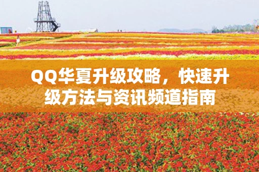 快速升级方法与资讯频道指南图片
