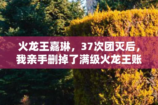 火龙王嘉琳，37次团灭后，我亲手删掉了满级火龙王账号——那个让全服颤抖的ID，为何在巅峰夜消失？