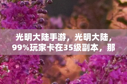 光明大陆手游,光明大陆,99%玩家卡在35级副本,那个通关的兄弟,昨晚删号了…… 光明大陆手游,光明大陆,99%玩家卡在35级副本,那个通关的兄弟,昨晚删号了……