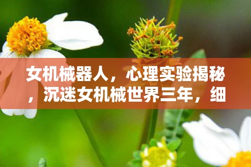 女机械器人,心理实验揭秘,沉迷女机械世界三年,细思极恐的自我囚禁 女机械器人,心理实验揭秘,沉迷女机械世界三年,细思极恐的自我囚禁