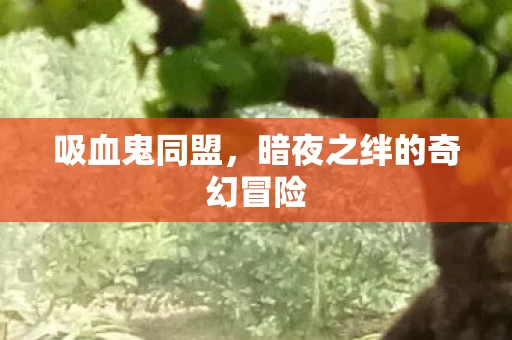 暗夜之绊的奇幻冒险图片