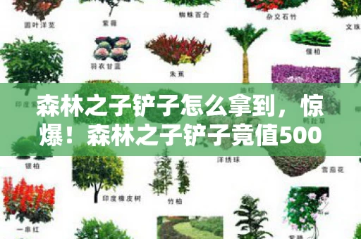 森林之子铲子怎么拿到,惊爆!森林之子铲子竟值500万?背后隐情让人吓一跳! 森林之子铲子怎么拿到,惊爆!森林之子铲子竟值500万?背后隐情让人吓一跳!
