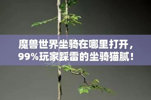 魔兽世界坐骑在哪里打开,99%玩家踩雷的坐骑猫腻!这波创新氪得我脑壳嗡嗡响 魔兽世界坐骑在哪里打开,99%玩家踩雷的坐骑猫腻!这波创新氪得我脑壳嗡嗡响