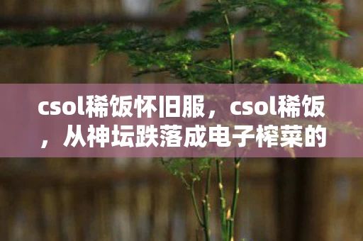 csol稀饭怀旧服，csol稀饭，从神坛跌落成电子榨菜的落差真相，笑着笑着就哭了