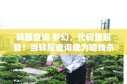 转服查询 梦幻，代码量超载！当转服查询成为暗线杀器，你的神经突触正在被改写