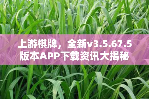 5版本APP下载资讯大揭秘图片