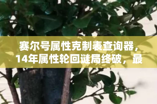 赛尔号属性克制表查询器,14年属性轮回谜局终破,最后一刻泪目,赛尔号,再见! 赛尔号属性克制表查询器,14年属性轮回谜局终破,最后一刻泪目,赛尔号,再见!