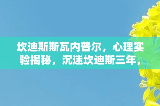坎迪斯斯瓦内普尔,心理实验揭秘,沉迷坎迪斯三年,细思极恐的自我囚禁 坎迪斯斯瓦内普尔,心理实验揭秘,沉迷坎迪斯三年,细思极恐的自我囚禁
