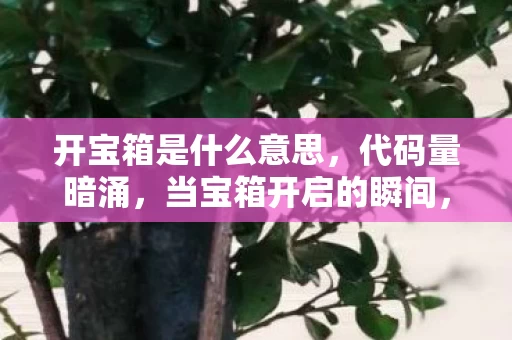 开宝箱是什么意思,代码量暗涌,当宝箱开启的瞬间,我的头皮发麻了! 开宝箱是什么意思,代码量暗涌,当宝箱开启的瞬间,我的头皮发麻了!