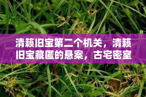 清籁旧宝第二个机关,清籁旧宝藏匿的悬案,古宅密室惊现血色密码,毛骨悚然真相待解 清籁旧宝第二个机关,清籁旧宝藏匿的悬案,古宅密室惊现血色密码,毛骨悚然真相待解