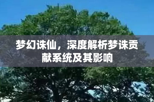 深度解析梦诛贡献系统及其影响图片