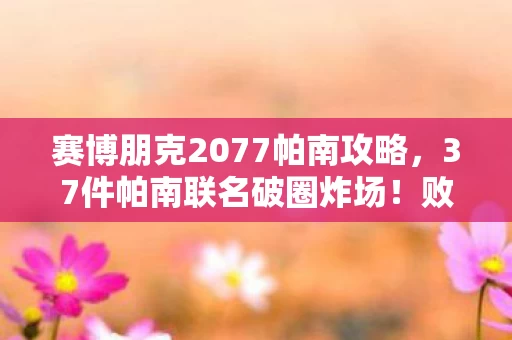 赛博朋克2077帕南攻略,37件帕南联名破圈炸场!败家玩家用周边堆出赛博遗嘱 赛博朋克2077帕南攻略,37件帕南联名破圈炸场!败家玩家用周边堆出赛博遗嘱