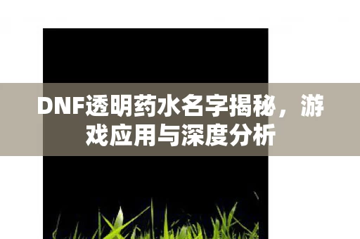 DNF透明药水名字揭秘图片