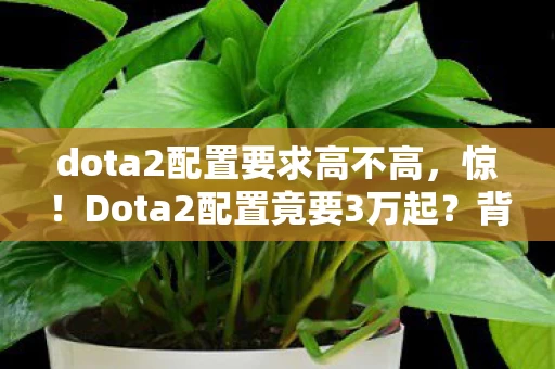 dota2配置要求高不高,惊!Dota2配置竟要3万起?背后隐情曝光,玩家吓一跳! dota2配置要求高不高,惊!Dota2配置竟要3万起?背后隐情曝光,玩家吓一跳!