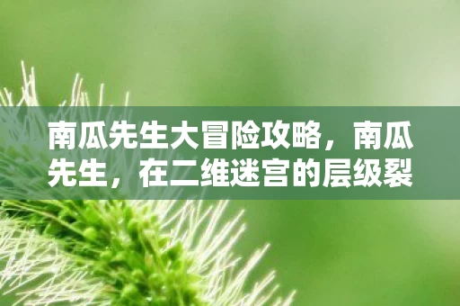 南瓜先生大冒险攻略，南瓜先生，在二维迷宫的层级裂隙中，自由意志是命运递来的毒苹果？