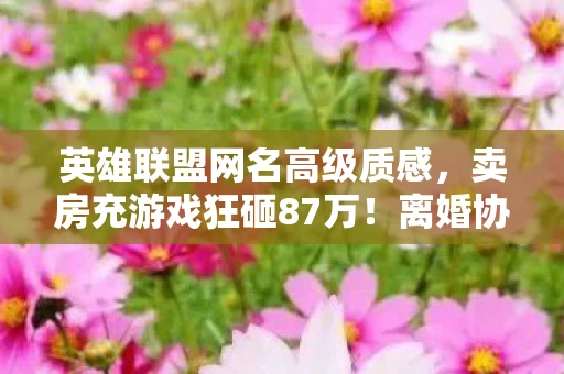 英雄联盟网名高级质感,卖房充游戏狂砸87万!离婚协议藏惊天隐情,老婆这一招让我吓一跳! 英雄联盟网名高级质感,卖房充游戏狂砸87万!离婚协议藏惊天隐情,老婆这一招让我吓一跳!