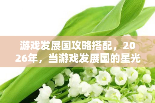 游戏发展国攻略搭配，2026年，当游戏发展国的星光暗去，谁在等一句别走鼻子一酸