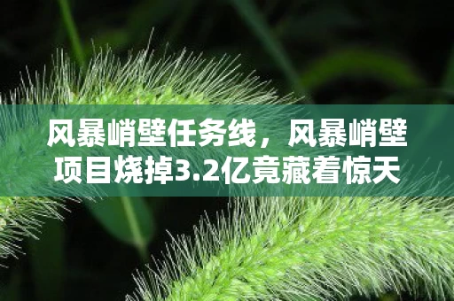 风暴峭壁任务线，风暴峭壁项目烧掉3.2亿竟藏着惊天隐情！会议室吵翻天真相让人吓一跳