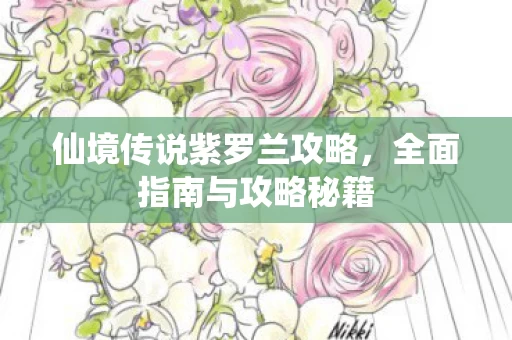 仙境传说紫罗兰攻略图片