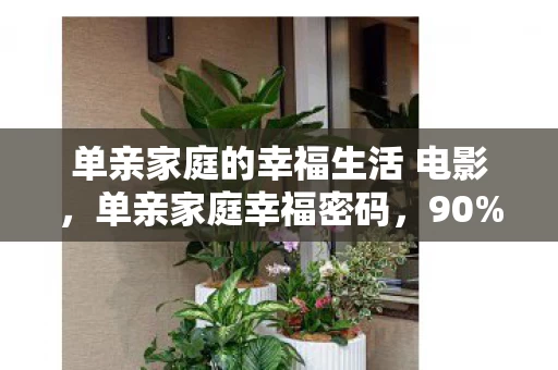 单亲家庭的幸福生活 电影,单亲家庭幸福密码,90%的孤独,10%的奇迹,谁在深夜点亮那盏灯? 单亲家庭的幸福生活 电影,单亲家庭幸福密码,90%的孤独,10%的奇迹,谁在深夜点亮那盏灯?