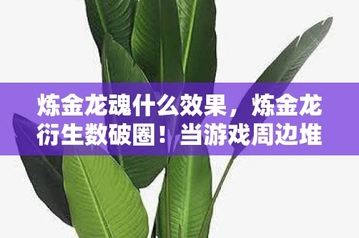 炼金龙魂什么效果，炼金龙衍生数破圈！当游戏周边堆满家，败家玩家开启意想不到人生