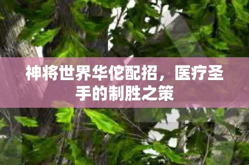 医疗圣手的制胜之策图片