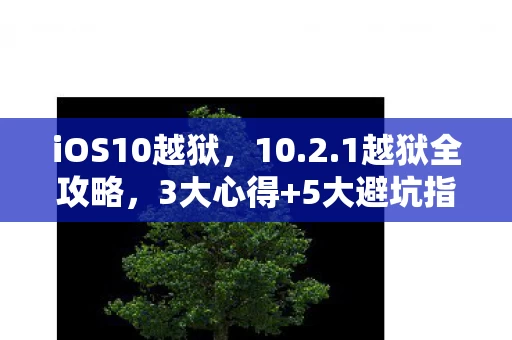iOS10越狱,10.2.1越狱全攻略,3大心得+5大避坑指南,解锁新体验! iOS10越狱,10.2.1越狱全攻略,3大心得+5大避坑指南,解锁新体验!