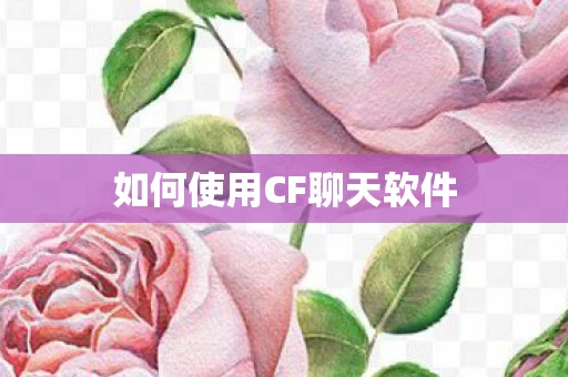 如何使用CF聊天软件图片