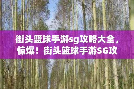 街头篮球手游sg攻略大全,惊爆!街头篮球手游SG攻略,3000万预算背后隐情,结果让人吓一跳! 街头篮球手游sg攻略大全,惊爆!街头篮球手游SG攻略,3000万预算背后隐情,结果让人吓一跳!
