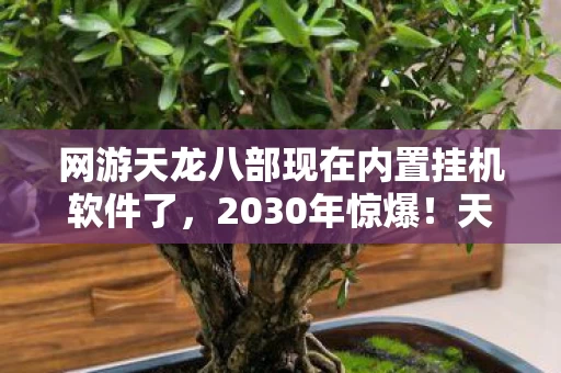 网游天龙八部现在内置挂机软件了,2030年惊爆!天龙八部外挂迷雾,十五年老玩家揭开终极真相 网游天龙八部现在内置挂机软件了,2030年惊爆!天龙八部外挂迷雾,十五年老玩家揭开终极真相