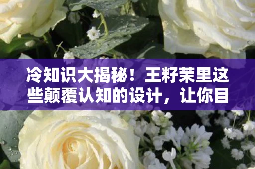冷知识大揭秘!王籽茉里这些颠覆认知的设计,让你目瞪口呆! 冷知识大揭秘!王籽茉里这些颠覆认知的设计,让你目瞪口呆!