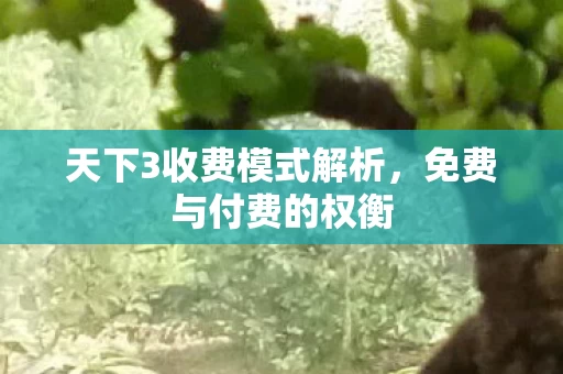 天下3收费模式解析图片