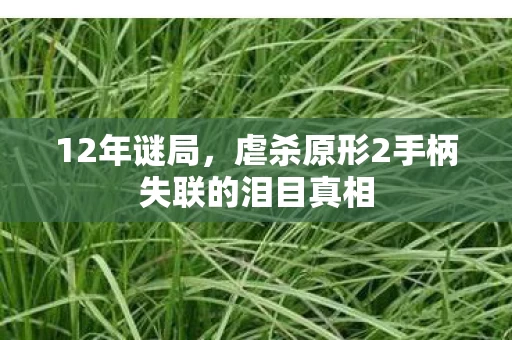 12年谜局,虐杀原形2手柄失联的泪目真相 12年谜局,虐杀原形2手柄失联的泪目真相